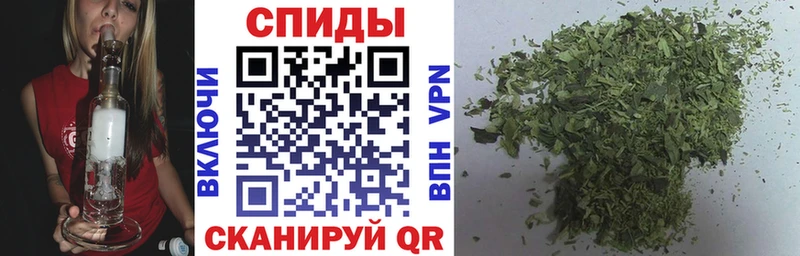 blacksprut онион  Людиново  Бутират бутандиол 
