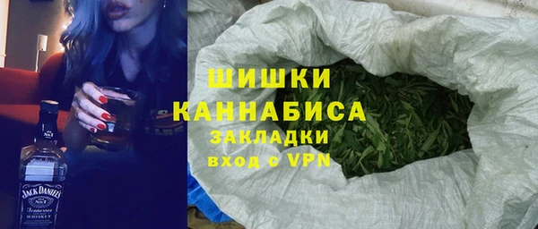 ГАЛЛЮЦИНОГЕННЫЕ ГРИБЫ Алексин