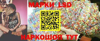 spice Заволжье
