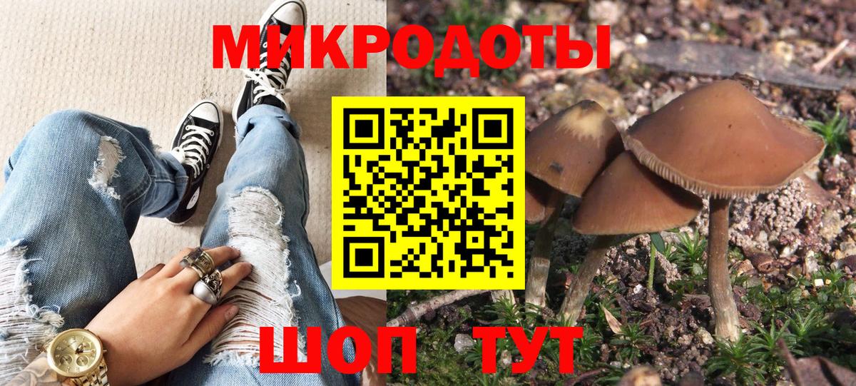 Псилоцибиновые грибы Psilocybine cubensis Людиново