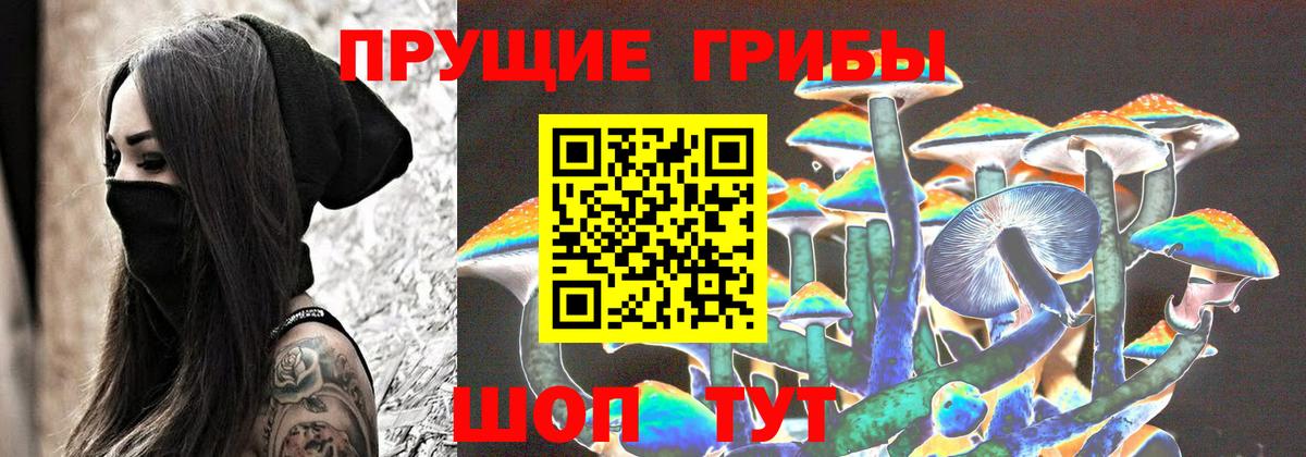 Галлюциногенные грибы Psilocybe  Вход с VPN  закладка  Людиново 